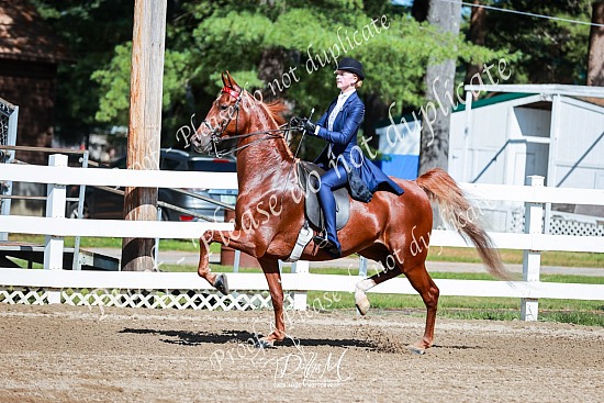 23 ASAM Summer Spectacular