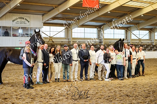 23 Friesian Keuring