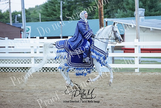 25 NH Arabian Summer Jubilee